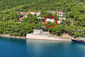 Apartments by the sea Pucisca, Brac - 2927